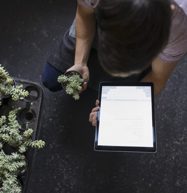Person checking a tablet while tending to their plants